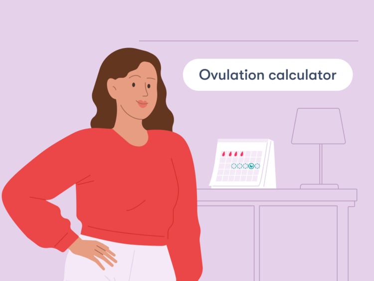 01_1006x755 title Ovulation calculator: Figure out your most fertile days