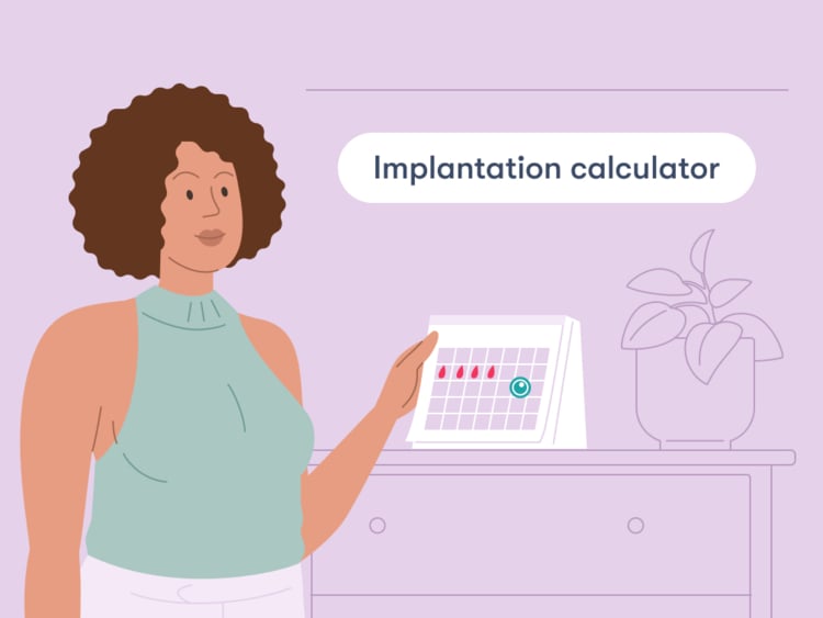 Woman holding a calendar showing her period and the date of ovulation and implantation 1006x755 (2) title Implantation calculator: When does implantation happen?