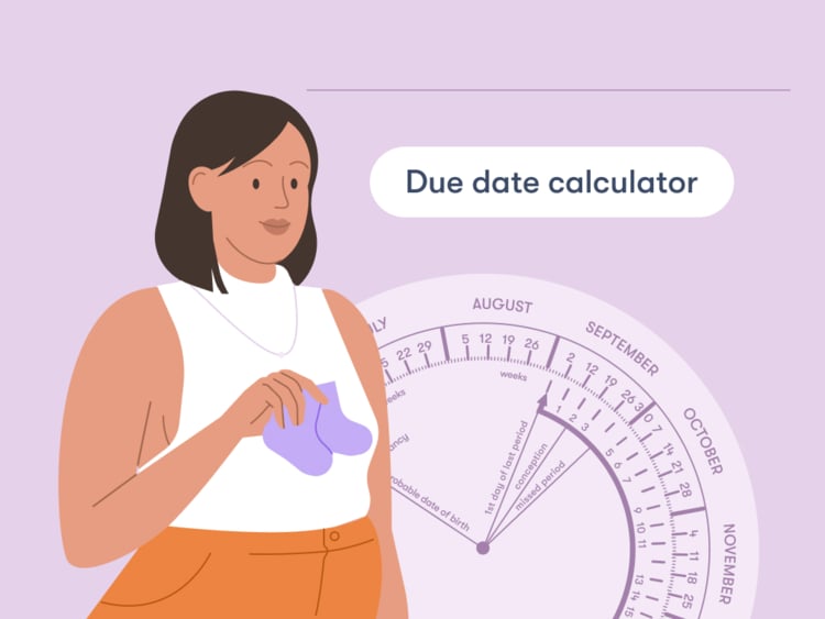 01_1006x755 title Pregnancy due date calculator