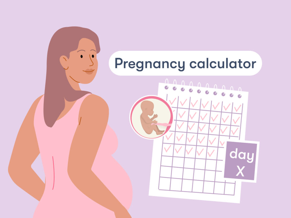 Woman looking at a calendar showing days of pregnancy