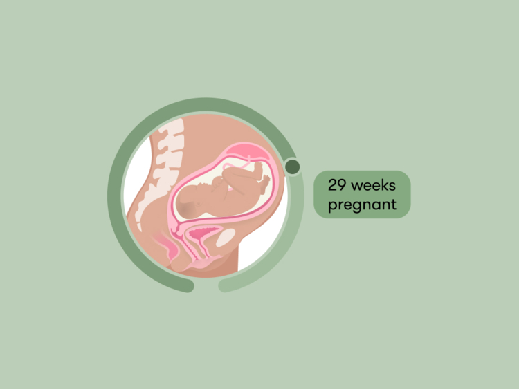 29 weeks pregnant: Your guide to this week of your third trimester